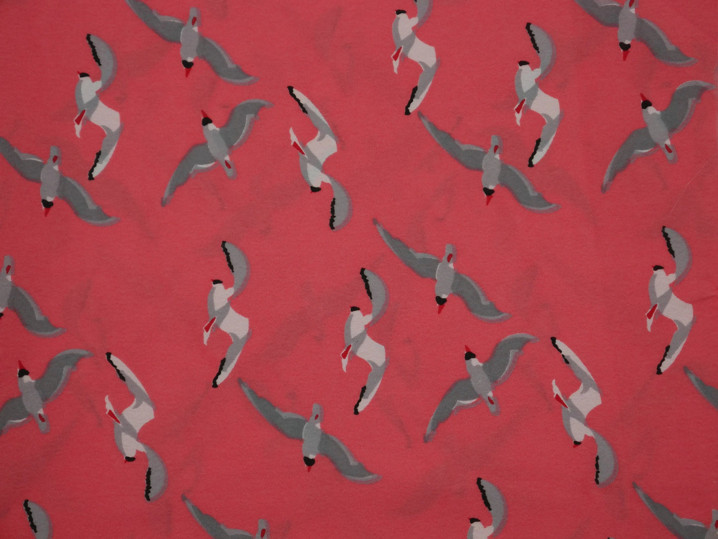 2 ½ Yards - Lightweight Fabric with Seagull Print